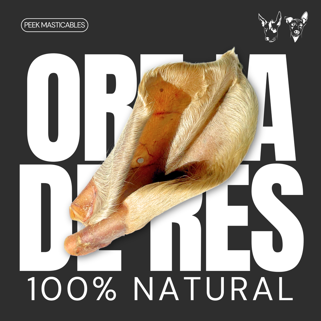 OREJA DE RES