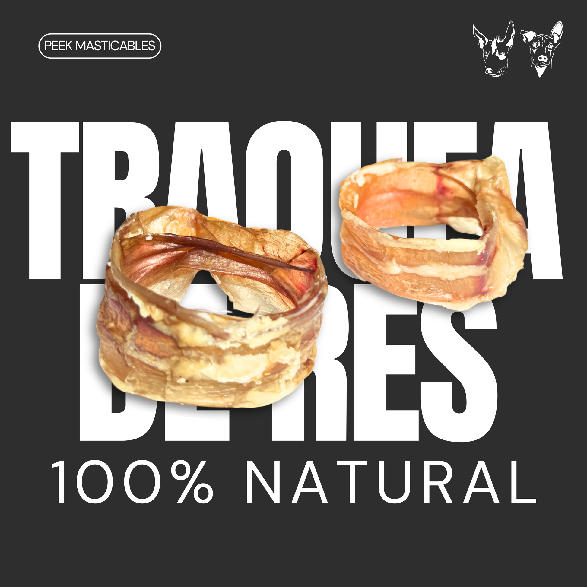 TRAQUEA DE RES