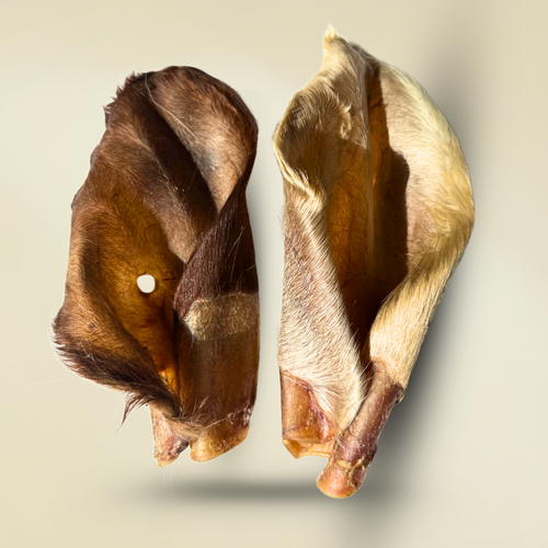 OREJA DE RES