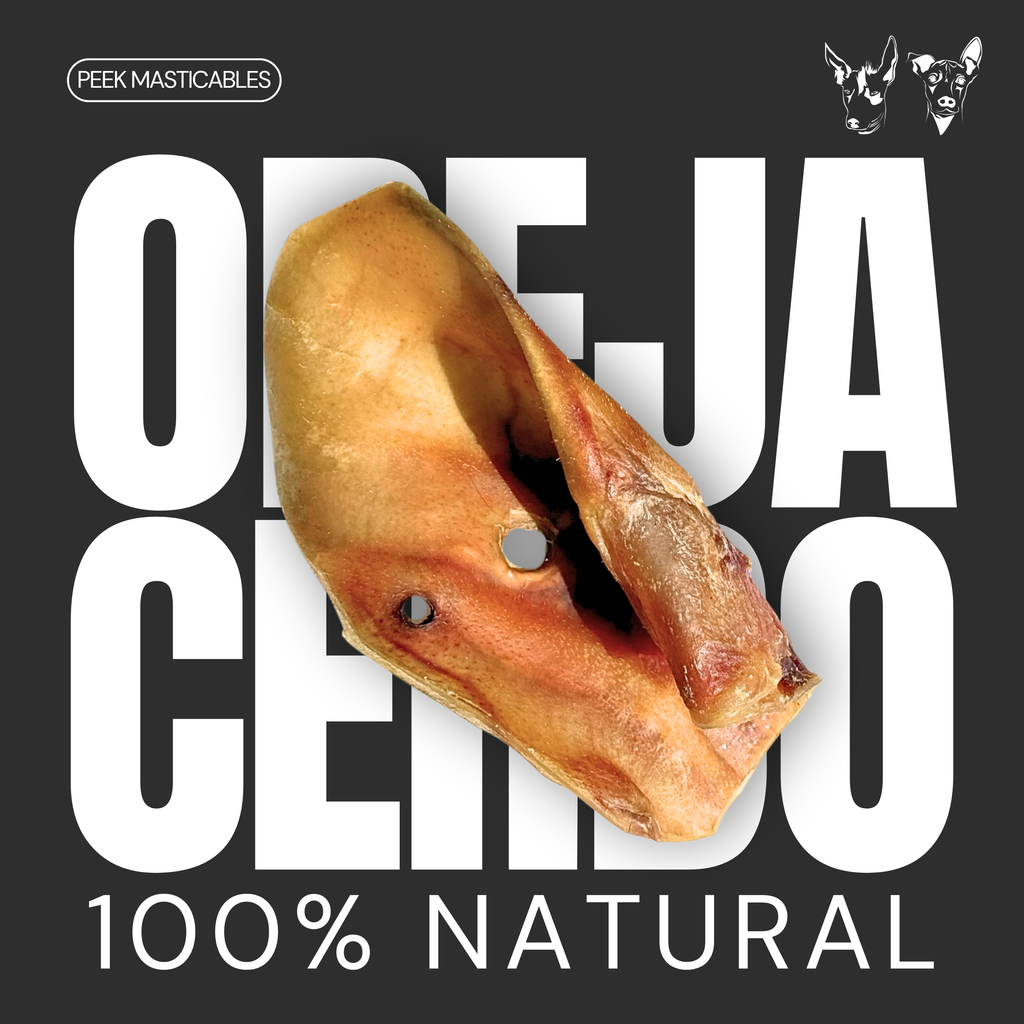 OREJA DE CERDO