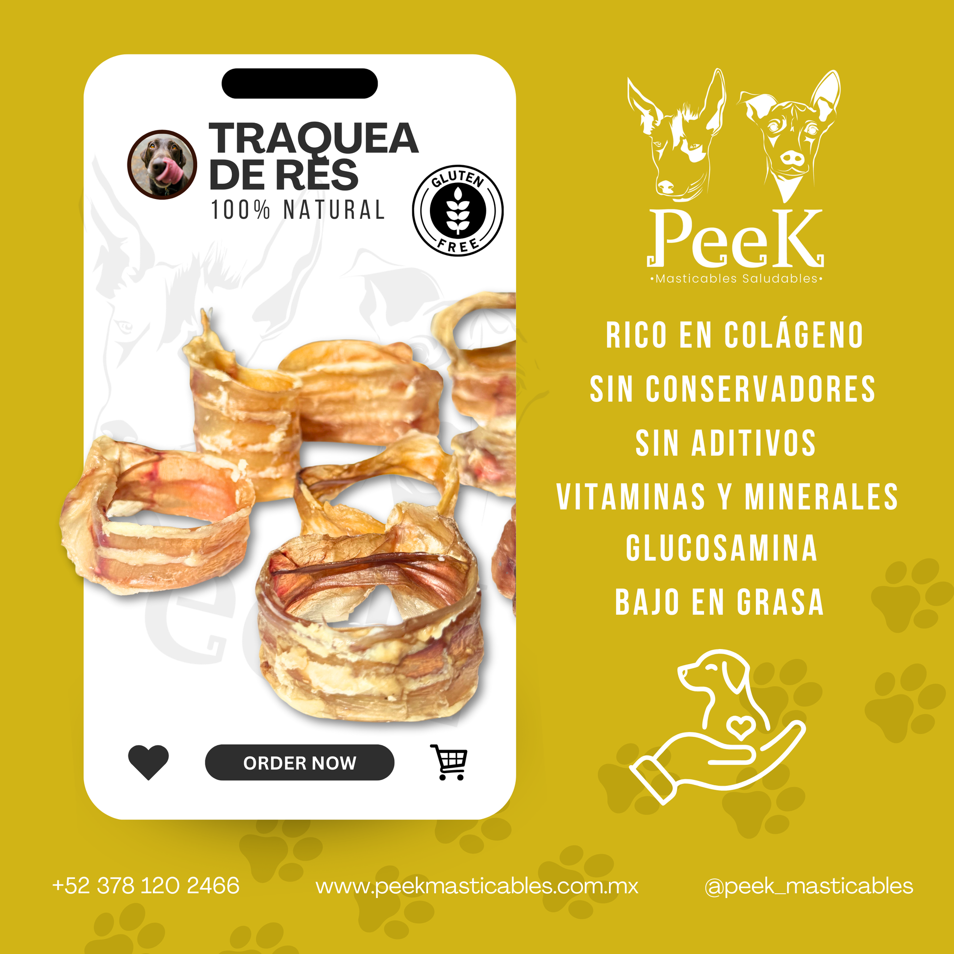 TRAQUEA DE RES