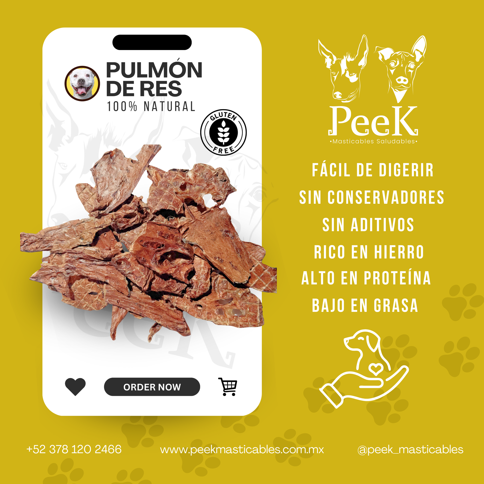 PULMON DE RES