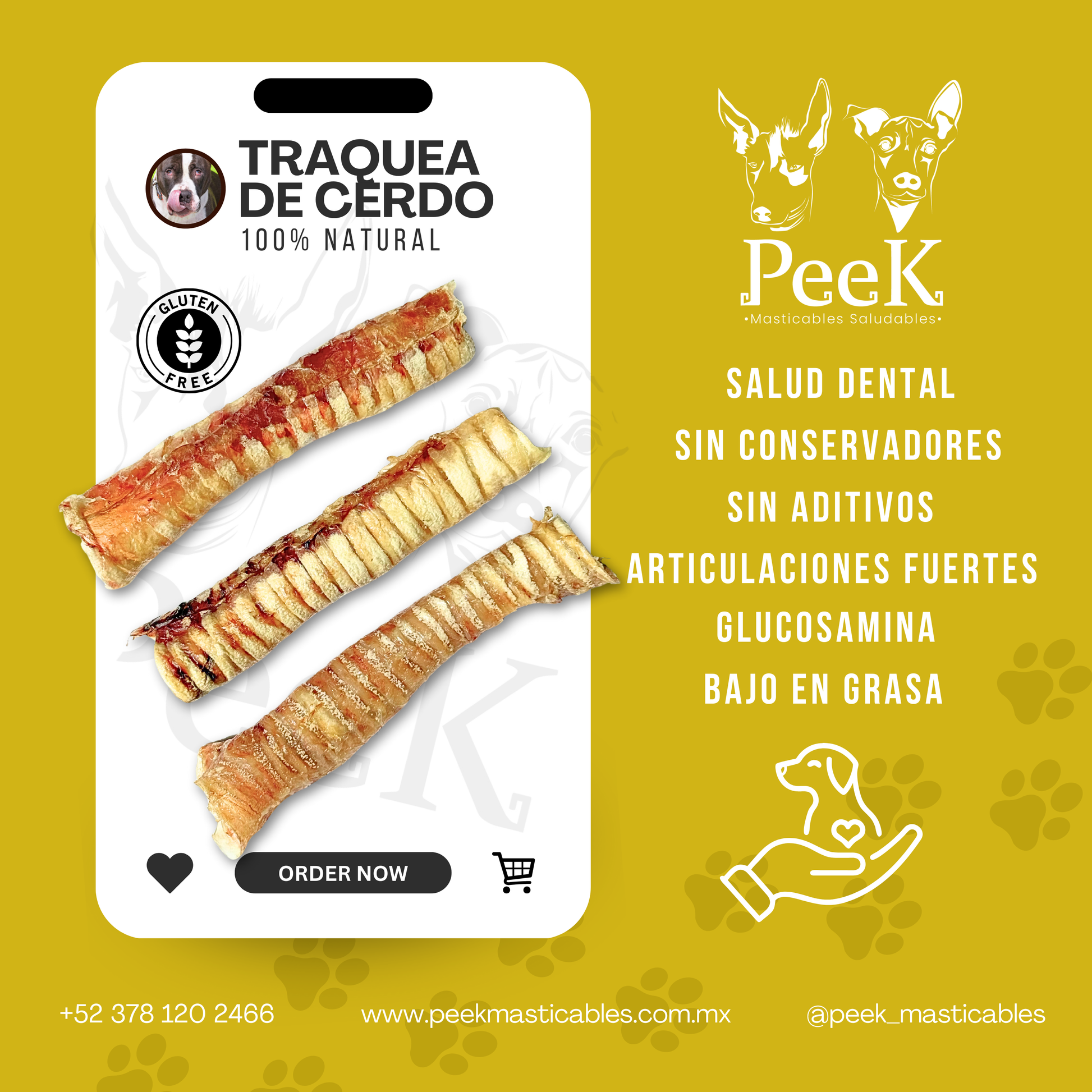 TRAQUEA DE CERDO